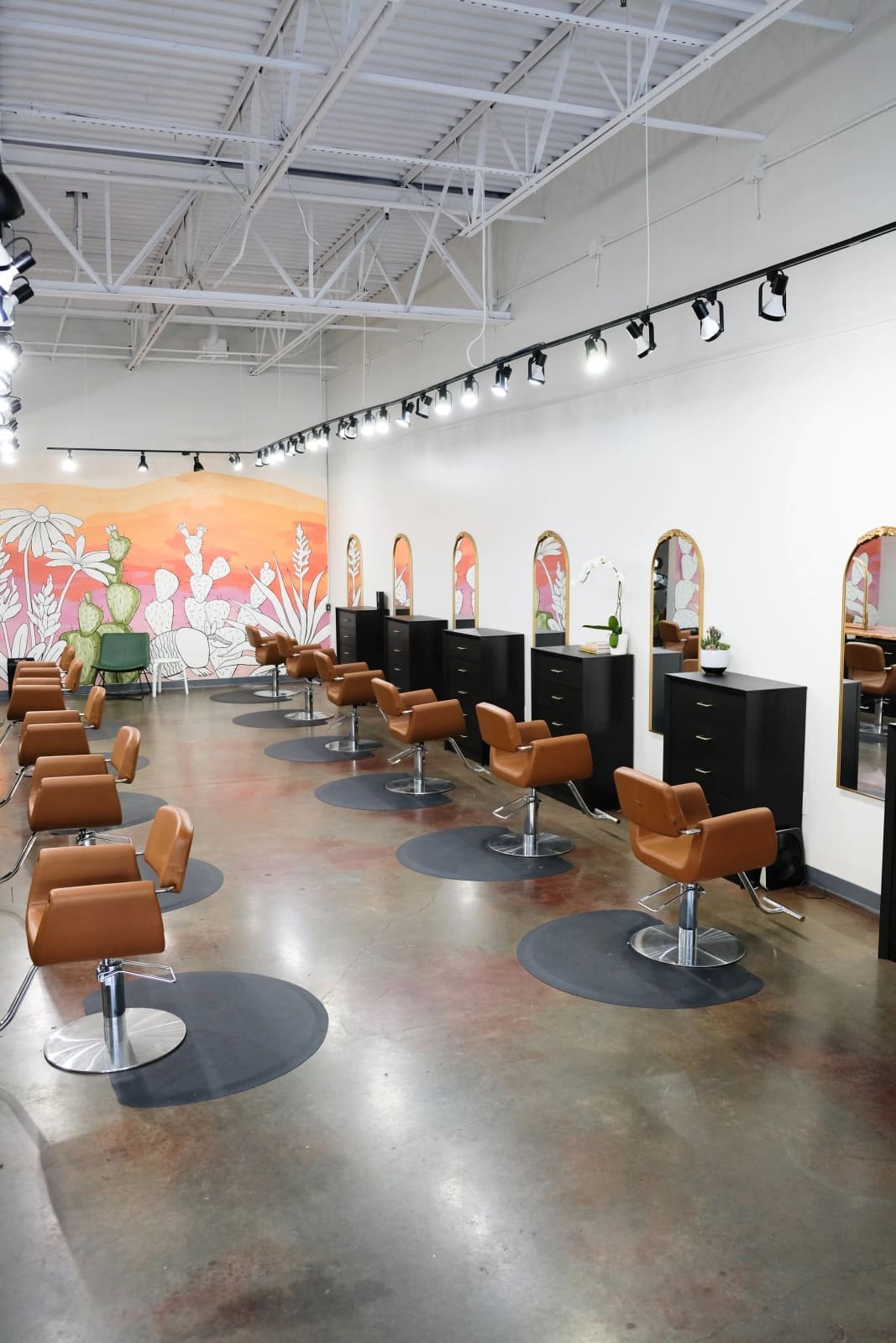 Inside bex+Co.® Barton Hills