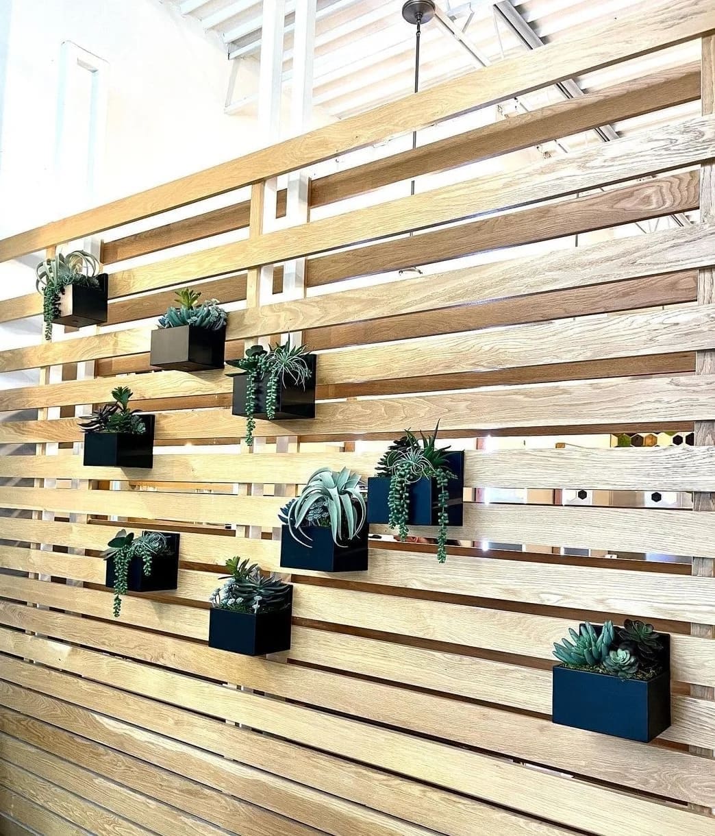 Inside bex+Co.® The Domain